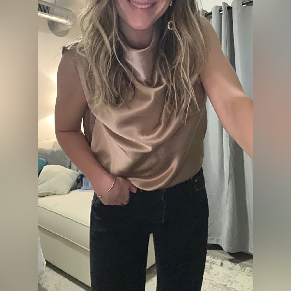 Babaton Carter Blouse